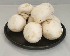 Шампиньоны