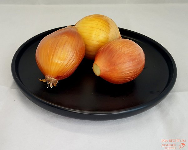 Лук репчатый